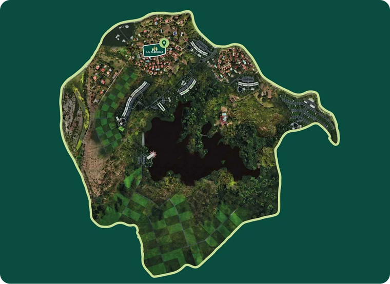 Ubicación portón del norte